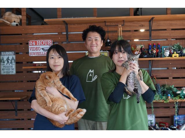 トゥインゴ ルコックスポルティフ 限定150台 専用16インチアルミ・ディスプレイオーディオ・アップルカープレイ・アンドロイドオート・ブルートゥース・シートヒーター・バックカメラ・クルコン・車線逸脱警報・前後ドラレコ・コーナーセンサー(66枚目)