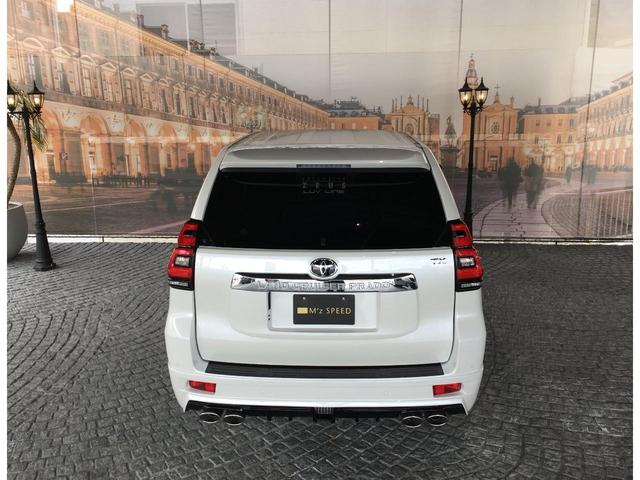TX 5人乗り SR ソナー エアロ マフラー 22AW(18枚目)