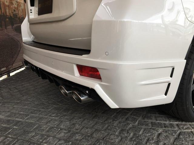 TX 5人乗り SR ソナー エアロ マフラー 22AW(24枚目)