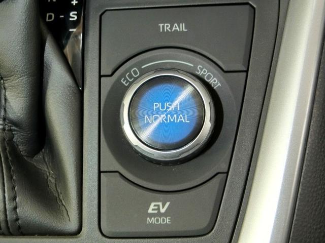 ＲＡＶ４ ハイブリッドＧ　ハイブリッド　ワンオーナー　４ＷＤ　電動シート　安全装備　衝突被害軽減システム　横滑り防止機能　ＡＢＳ　エアバッグ　オートクルーズコントロール　盗難防止装置　バックカメラ　ＥＴＣ　ドラレコ　キーレス（30枚目）