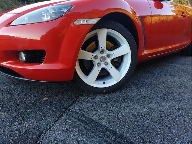 �����g�h�c�w�b�h���C�g�ł��B���΂݂����Ȃ��Y��ł��I