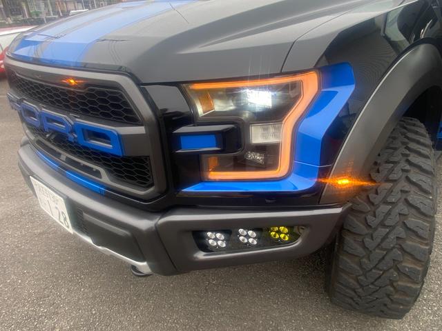 Ｆ－１５０ ＳＶＴ　ラプター（37枚目）