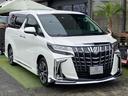 ２．５Ｓ　Ｃパッケージ　モデリスタエアロ　ドライブレコーダー　バックカメラ　ナビ　ＴＶ　クリアランスソナー　オートクルーズコントロール　レーンアシスト　衝突被害軽減システム　両側電動スライドドア　オートマチックハイビーム　オートライト（13枚目）