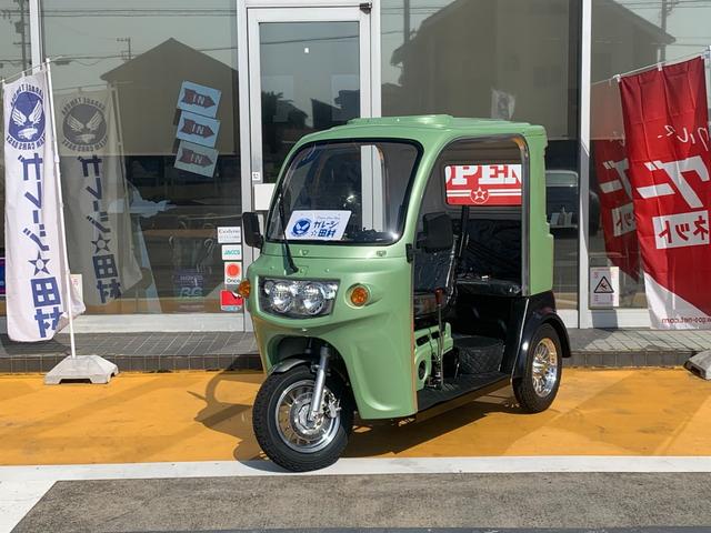 *その他 　ＡＰ　ｔｒｉｋｅｓ１２５・新車・♪　負圧燃料ポンプ付　♪・３輪トライク・遠心クラッチ式　４速ミッション・３人乗り・ＬＥＤヘッドライト・ＵＳＢ差込口付き・「　ご希望・車用カラー塗装　注文可能　」・（40枚目）