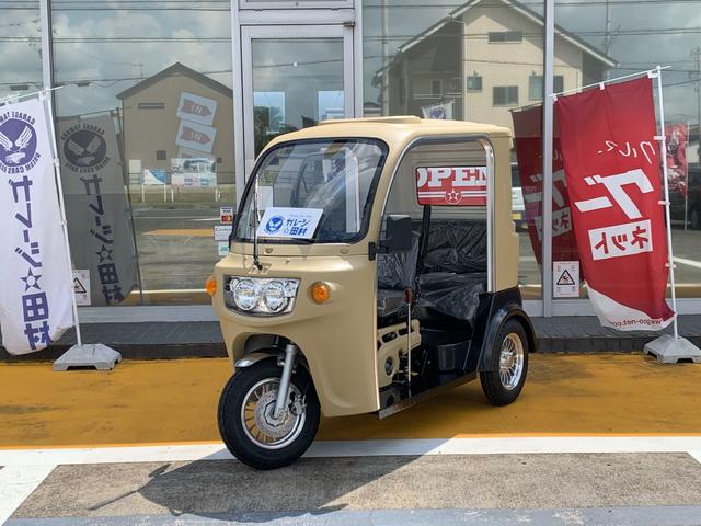 *その他 　ＡＰ　ｔｒｉｋｅｓ１２５・新車・♪　負圧燃料ポンプ付　♪・３輪トライク・オリジナル　艶無ハケ塗装仕様車・遠心クラッチ式　４速ミッション・バックギヤ有り・３人乗・ＬＥＤヘッドライト・ＵＳＢ差込口・（40枚目）