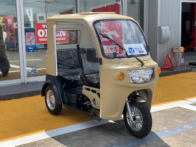 *その他 　ＡＰ　ｔｒｉｋｅｓ１２５・新車・♪　負圧燃料ポンプ付　♪・３輪トライク・艶無ハケ塗装仕様　（　各カラー・ご相談可能　）・遠心クラッチ式　４速ミッション・３人乗・ＬＥＤヘッドライト・ＵＳＢ差込口・（42枚目）