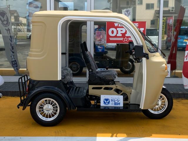 *その他 　ＡＰ　ｔｒｉｋｅｓ１２５・新車・♪　負圧燃料ポンプ付　♪・３輪トライク・艶無ハケ塗装仕様　（　各カラー・ご相談可能　）・遠心クラッチ式　４速ミッション・３人乗・ＬＥＤヘッドライト・ＵＳＢ差込口・（44枚目）