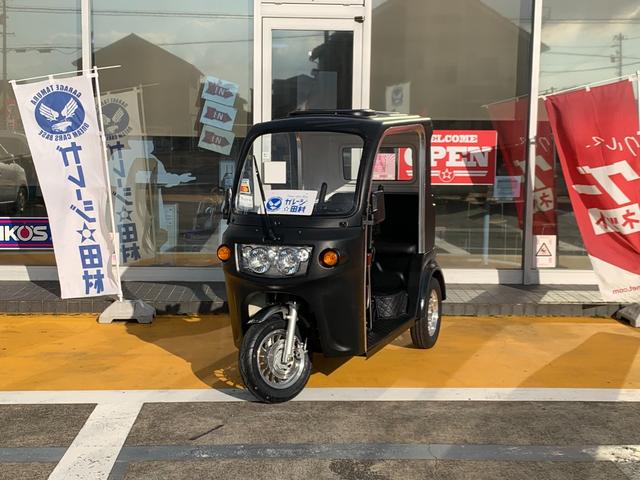 *その他 　ＡＰ　ｔｒｉｋｅｓ１２５・新車・♪　負圧燃料ポンプ付　♪・３輪トライク・艶無ハケ塗装仕様　（　各カラー・ご相談可能　）・遠心クラッチ式　４速ミッション・３人乗・ＬＥＤヘッドライト・ＵＳＢ差込口・（76枚目）