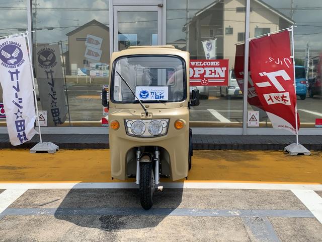 *その他 　ＡＰ　ｔｒｉｋｅｓ１２５・新車・♪　負圧燃料ポンプ付　♪・３輪トライク・オリジナル　艶無ハケ塗装仕様車・遠心クラッチ式　４速ミッション・バックギヤ有り・３人乗・ＬＥＤヘッドライト・ＵＳＢ差込口・（41枚目）