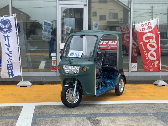 *その他 　ＡＰ　ｔｒｉｋｅｓ１２５・新車・♪　負圧燃料ポンプ付　♪・３輪トライク・オリジナル　艶無ハケ塗装仕様車・遠心クラッチ式　４速ミッション・バックギヤ有り・３人乗・ＬＥＤヘッドライト・ＵＳＢ差込口・（59枚目）