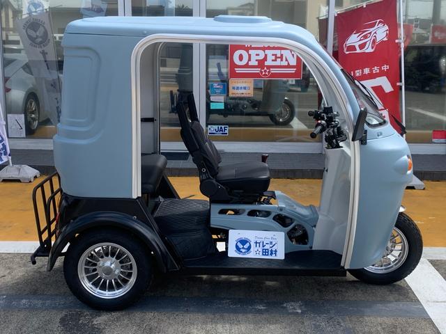 *その他 　ＡＰ　ｔｒｉｋｅｓ１２５・新車・♪　負圧燃料ポンプ付　♪・３輪トライク・オリジナル　艶無ハケ塗装仕様車・遠心クラッチ式　４速ミッション・バックギヤ有り・３人乗・ＬＥＤヘッドライト・ＵＳＢ差込口・（46枚目）