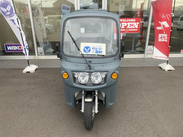 *その他 　ＡＰ　ｔｒｉｋｅｓ１２５・新車・♪　負圧燃料ポンプ付　♪・３輪トライク・オリジナル　艶無ハケ塗装仕様車・遠心クラッチ式　４速ミッション・バックギヤ有り・３人乗・ＬＥＤヘッドライト・ＵＳＢ差込口・（64枚目）