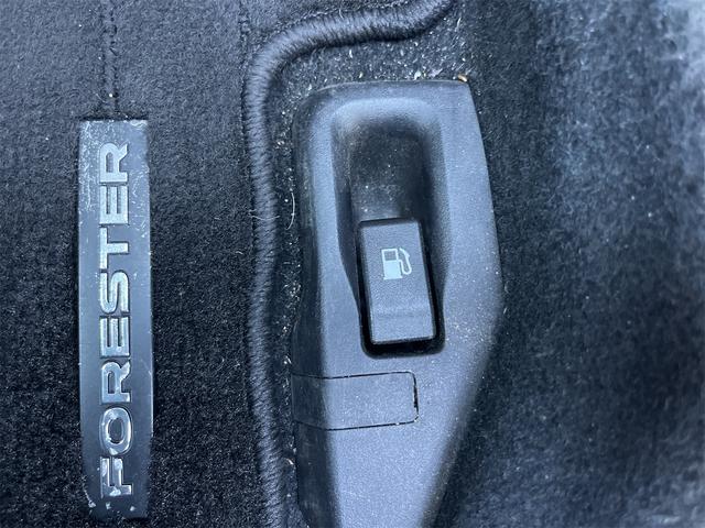 フォレスター Ｓ－リミテッド　４ＷＤ　ＥＴＣ　バックカメラ　オートクルーズコントロール　レーンアシスト　パワーシート　衝突被害軽減システム　ナビ　ＴＶ　ＬＥＤヘッドランプ　アルミホイール　スマートキー　アイドリングストップ（55枚目）
