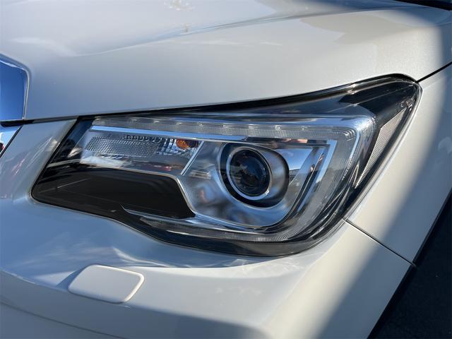 フォレスター Ｓ－リミテッド　４ＷＤ　ＥＴＣ　バックカメラ　オートクルーズコントロール　レーンアシスト　パワーシート　衝突被害軽減システム　ナビ　ＴＶ　ＬＥＤヘッドランプ　アルミホイール　スマートキー　アイドリングストップ（66枚目）