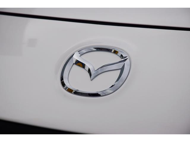 タイプRS パナソニックナビ 地上デジタルTV DVDビデオ Bluetooth ETC 19インチアルミホイール ハーフレザーレカロシート 禁煙車 圧縮測定済み ビルシュタインダンパー アドバンストキー HID(50枚目)