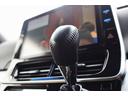 アエラス　スマート　フリップダウンモニター　ベージュレザーシート　ナビ　ＴＶ　Ｂｌｕｅｔｏｏｔｈ　フロント＆バックカメラ　パワースライドドア　クリアランスソナー　プリクラッシュセーフティ　２列目リラックスキャプテンシート（50枚目）