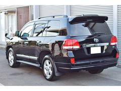 �ե���ȡ������ɡ��Хå�����顡�ģ֣ĥӥǥ������ġ����;�ꡡ���󥷡��ȡ����ƥ���󥰥�⥳�� 2