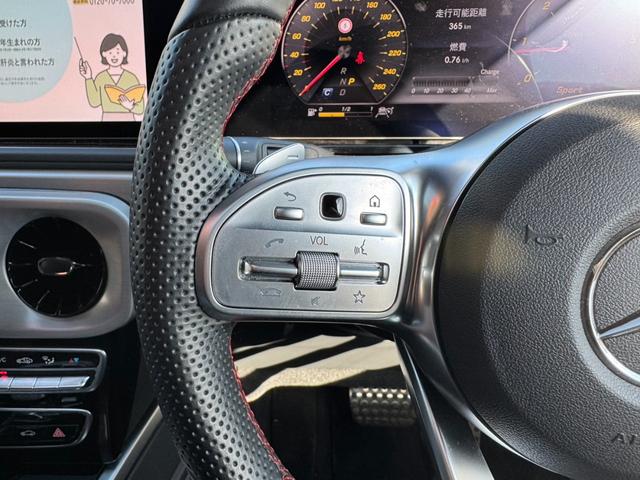 Ｇクラス Ｇ３５０ｄ　★Ｇ３５０ｄ★ＡＭＧライン★スライディングルーフ★ブラバスフロントスポイラー★アダプティブダンピングシステム★純正２１ＡＷ★電動サイドステップ★ブルメスタサラウンドシステム★純正ナビ地デジ（25枚目）