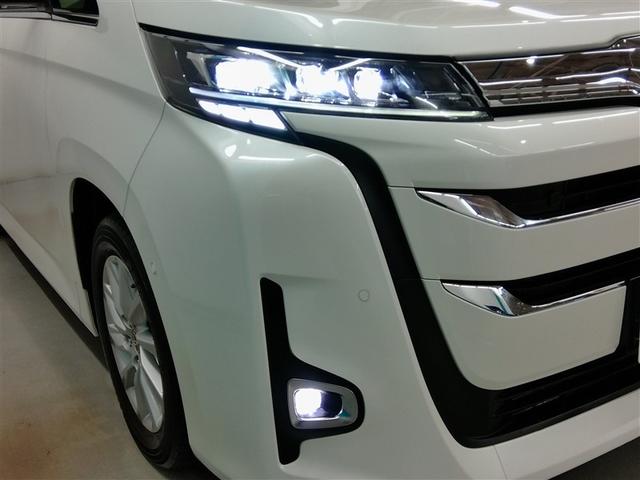 �k�d�c�w�b�h���C�g�ƃt�H�O�����v�̃R���{�ł��B�J���̓������S�I�t�H�O�����v�����Ԃ̑��݂��ۗ������܂��ˁ�