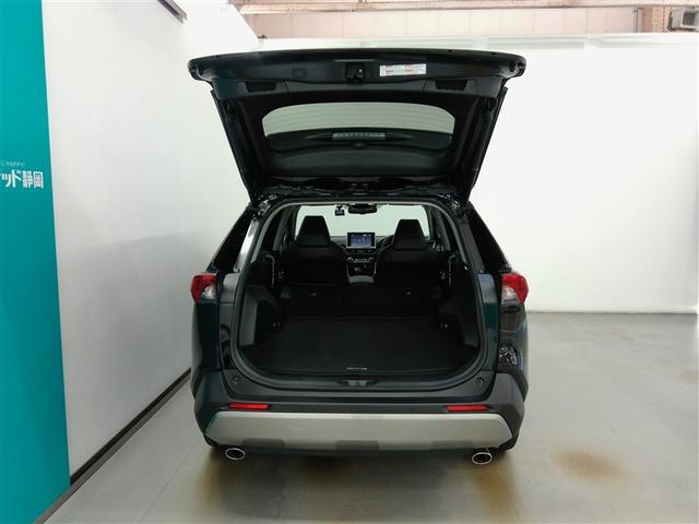 ＲＡＶ４ ハイブリッドＧ　ハイブリッド　ワンオーナー　４ＷＤ　電動シート　安全装備　衝突被害軽減システム　横滑り防止機能　ＡＢＳ　エアバッグ　オートクルーズコントロール　盗難防止装置　ナビ　バックカメラ　ＥＴＣ　ドラレコ（19枚目）