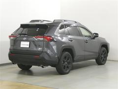 �ң��֣� �ϥ��֥�åɥ��ɥ٥���㡼�����ե����ɥѥå������ɣɡ��ϥ��֥�åɡ���󥪡��ʡ������ף� 0620148A20260411T001 5