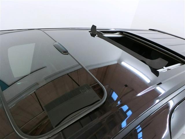 �c�C�����[�����[�t�����ł��B