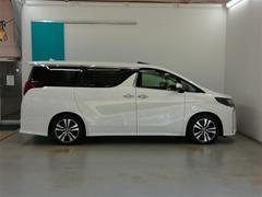 �͵��Υۥ磻�ȥѡ��륯�ꥹ���륷�㥤��Ǥ��� 3