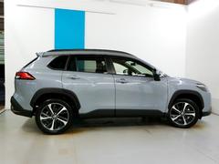 �Ĳ����귿�ץ��ϼ�ξ���β��ʤΰ����򤢤餫����Ĳ��Ȥ��ƿ����֤����Ĥ�ζ�ۤ�ʬ��Ǥ���ʧ�����������ץ��Ǥ����ܤ����Ϥ����ڤ˥����åդޤǤ����̤��������� 4