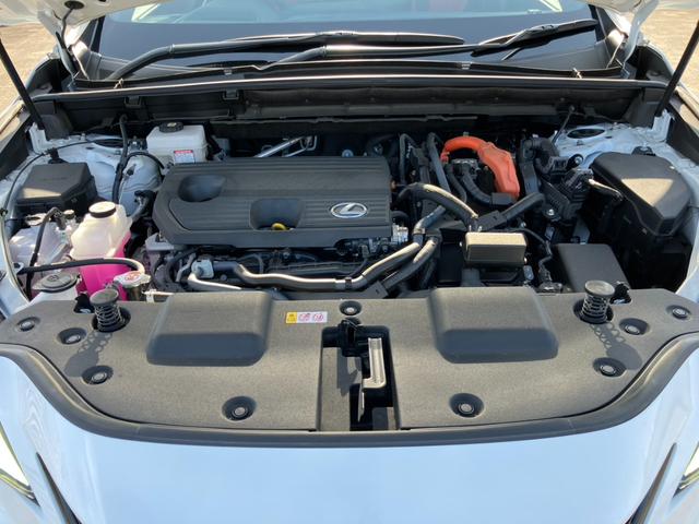 ＮＸ ＮＸ３５０ｈ　Ｆスポーツ　純正１４インチＡＷ　地デジ　３６０°カメラ　レクサスセーフティＳ　クルーズＣ　赤黒レザーＳ　Ｐシート　シートＡＣ　パノラマサンルーフ　デジタルインナーＭ　Ｐアシスト　ワイヤレス充電　Ｐバックドア（21枚目）