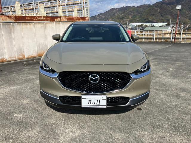 �d�������͂̂���L���ȑ��`�A�C���˂Ȃ��o��������T�C�Y��