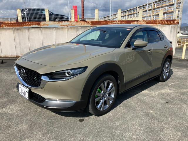 �����i�r�@�n�f�W�@�R�U�O°�J�����@�o�o�b�N�h�A�@�d�s�b�@�o�X�^�[�g�@�P�W�C���`�`�v