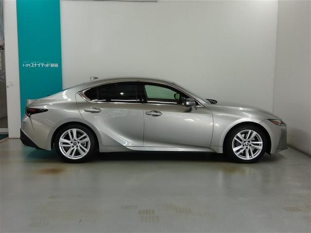 �{�f�[�J���[�̓\�j�b�N�`�^�j�E���ł��B