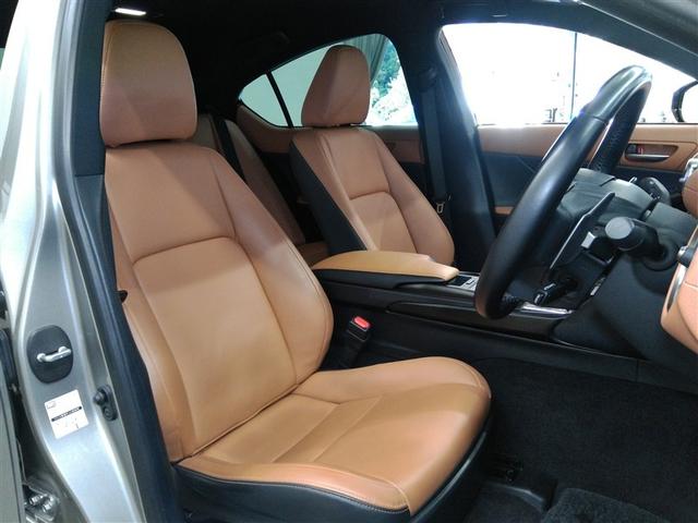 �^�]�ȑ�����̑O�ȃr���[�ł��B�����F�̓u���E���n�ł��̂ŉ�����ڗ����ɂ����ł���