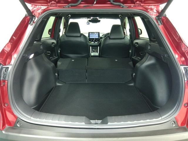 ��Ȃ�|������Ԃł̃��Q�[�W�r���[�ł��B