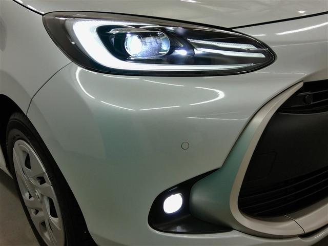 �k�d�c�w�b�h���C�g�ƃt�H�O�����v�̃R���{�ł��B�J���̓������S�I�t�H�O�����v�����Ԃ̑��݂��ۗ������܂��ˁ�