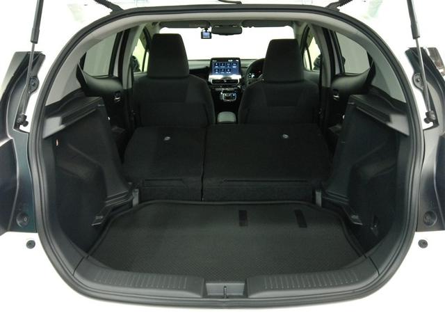 ��Ȃ�|������Ԃł̃g�����N�r���[�ł��B