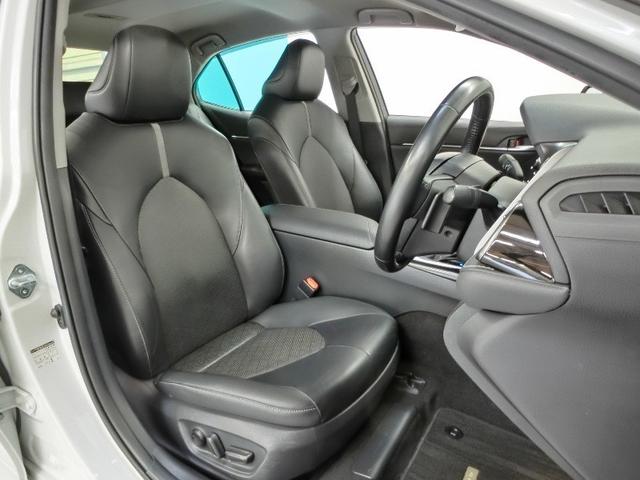 �^�]�ȑ�����̑O�ȃr���[�ł��B�����F�̓u���b�N�n�ł��̂ŉ�����ڗ����ɂ����ł���