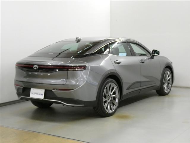 �l�C�̃v���V���X���^���ł��B