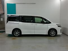 �͵��Υۥ磻�ȥѡ��륯�ꥹ���륷�㥤��Ǥ��� 3