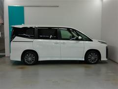 �͵��Υۥ磻�ȥѡ��륯�ꥹ���륷�㥤��Ǥ��� 3