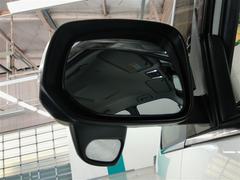 �ɥ��ߥ顼����ư��Ǽ��ǽ�⤢��ޤ�����֤���ݤˤ��ε�ǽ����������������Ǥ��͡� 6