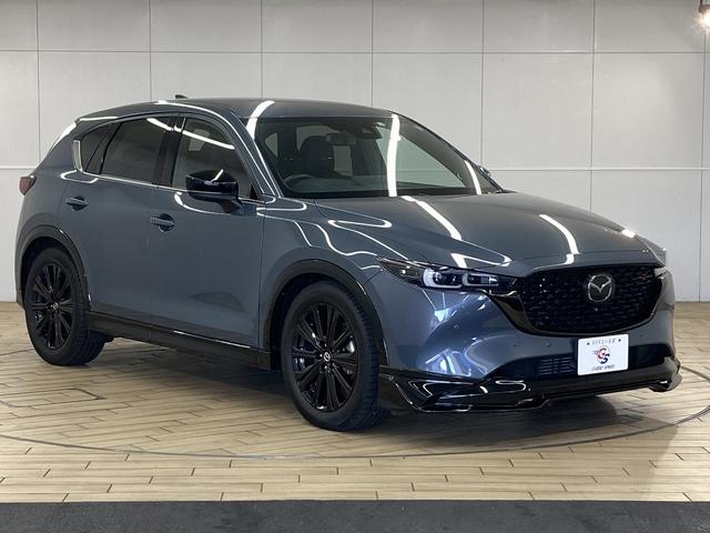 ＣＸ－５ ＸＤ　スポーツアピアランス　１０型ナビ／全周囲カメラ／レーダークルーズコントロール／シートヒーター／ワイヤレス充電／メモリー付パワーシート／ブラックレザーシート／パワーバッグドア／ＬＥＤヘッド／純正１９インチアルミホイール（28枚目）