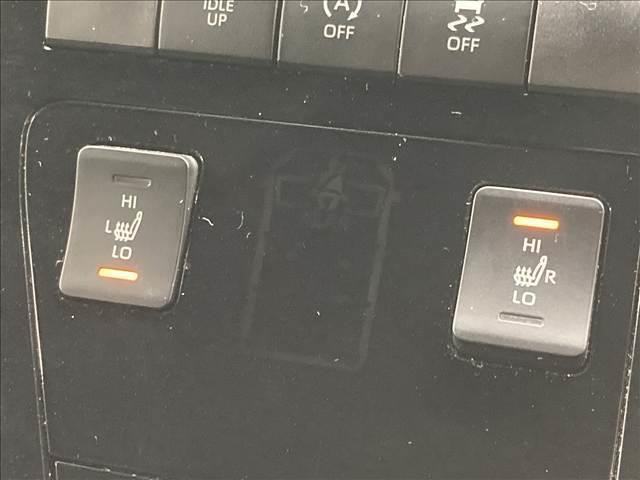 グランエース プレミアム 純正ナビ/全周囲モニター/両側電動スライドドア/シートヒーター/フリップダウンモニター/レーダークルーズコントロール/ブラインドスポットモニター/ETC/パワーシート/クリアランスソナー(10枚目)