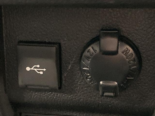 グランエース プレミアム 純正ナビ/全周囲モニター/両側電動スライドドア/シートヒーター/フリップダウンモニター/レーダークルーズコントロール/ブラインドスポットモニター/ETC/パワーシート/クリアランスソナー(51枚目)