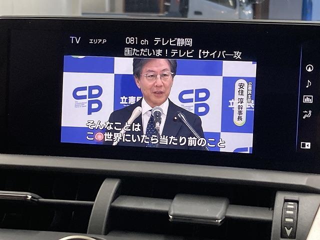 NX NX300h バージョンL レッドレザーシート/電動リアゲート/純正ナビ/100V電源/メモリー付パワーシート/シートヒーター/ベンチレーション/プリクラッシュセーフティー/レーダークルーズコントロール/3眼LED(67枚目)