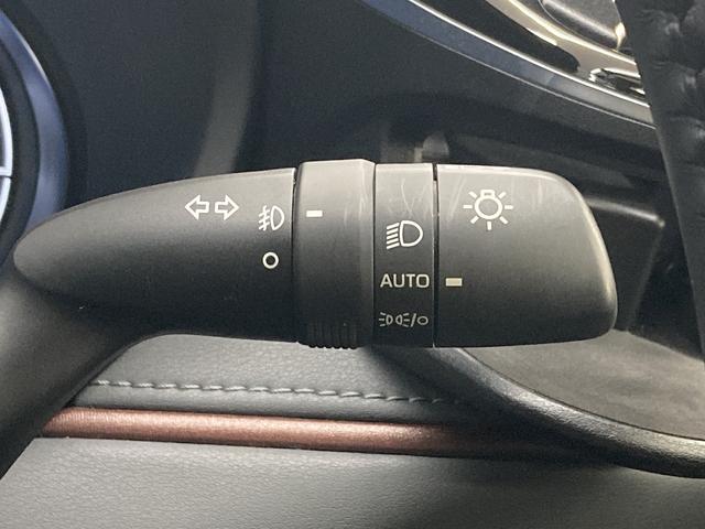 ハリアーハイブリッド Z レザーパッケージ 純正ナビ/全周囲カメラ/黒革/JBLサウンド/デジタルインナーミラー/セーフティーセンス/レーダークルーズコントロール/パワーバッグドア/シートヒーター/ベンチレーション/ブラインドスポットモニター(43枚目)