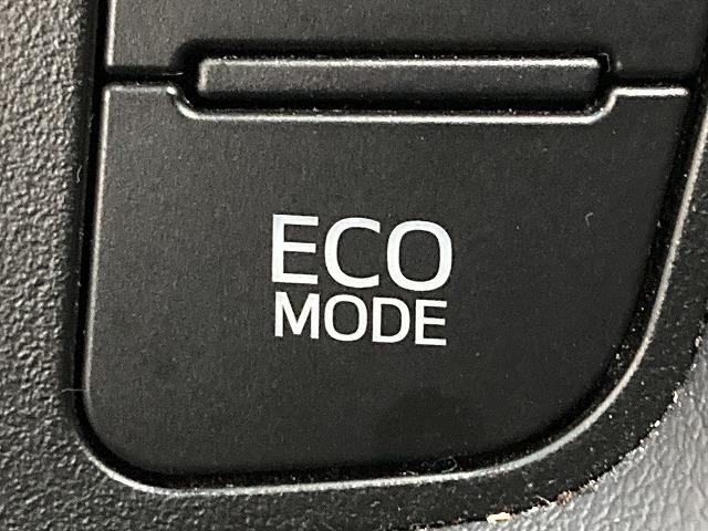 TOYOTA VELLFIRE HYBRID Z GOLDEN EYES