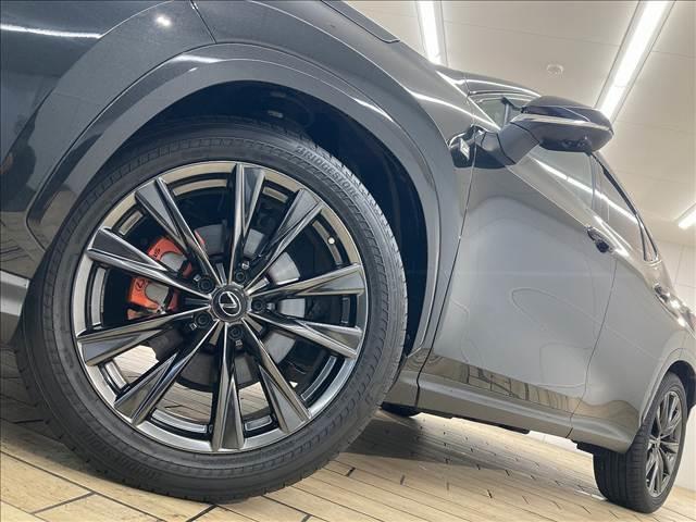 NX NX350h Fスポーツ 全周囲カメラ/純正14型ナビ/赤革シート/サンルーフ/3眼LED/プリクラッシュセーフティー/レーダークルーズコントロール/メモリー付パワーシート/シートヒーター/ベンチレーション/ブラインドスポット(19枚目)