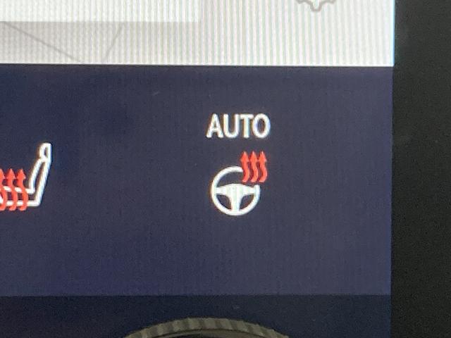 NX NX350h Fスポーツ 全周囲カメラ/純正14型ナビ/赤革シート/サンルーフ/3眼LED/プリクラッシュセーフティー/レーダークルーズコントロール/メモリー付パワーシート/シートヒーター/ベンチレーション/ブラインドスポット(69枚目)