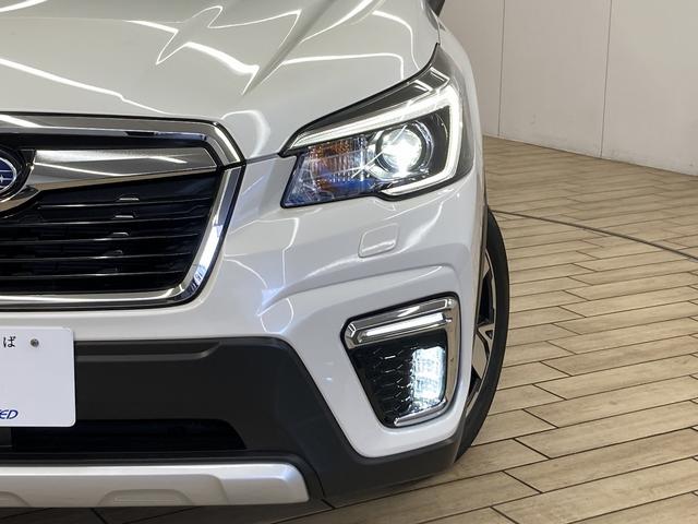 フォレスター アドバンス 純正ナビ/レーダークルーズコントロール/サンルーフ/電動リアゲート/ブラインドスポットモニター/ETC/デジタルインナーミラー/アイサイト/純正18インチアルミホイール/シートヒーター/LEDヘッド(30枚目)